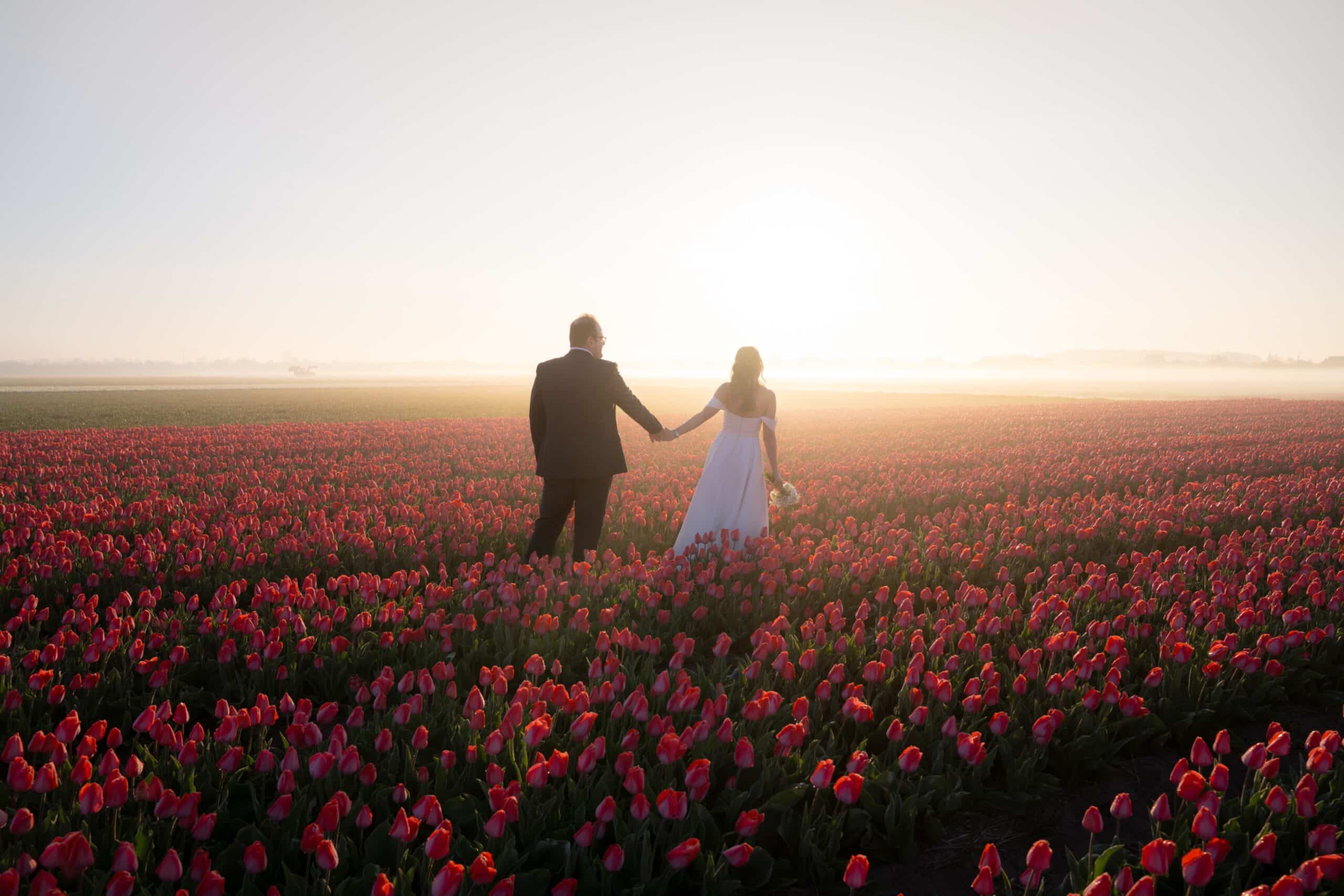 A bride and groom holding hands while walking through a tulip field at sunrise in the Netherlands, captured as a romantic wedding moment by Vidora Studio.